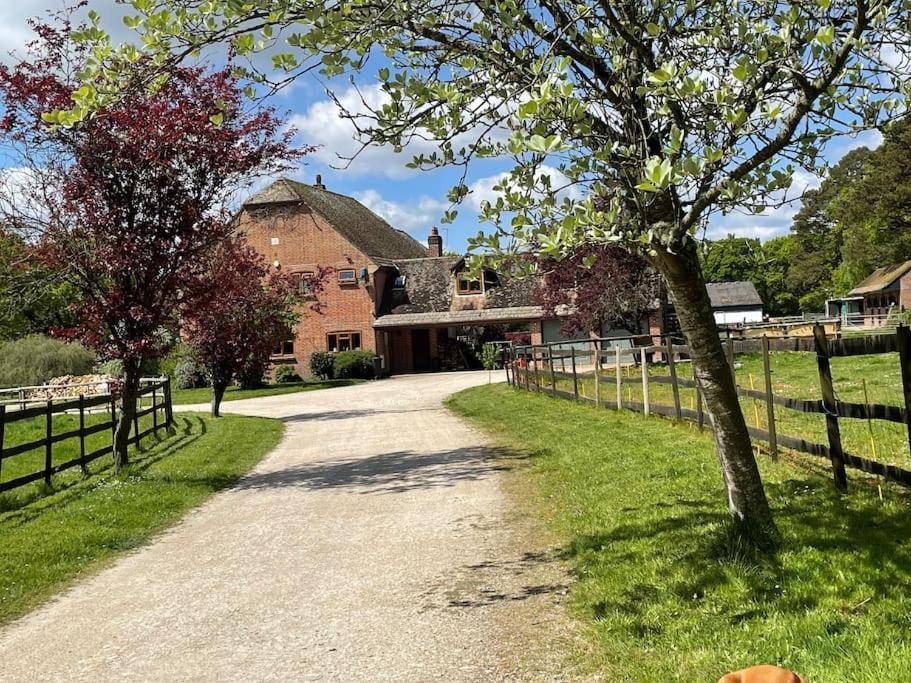 Self Catering Apartment, Jurassic Coast/Dorset Wareham Extérieur photo